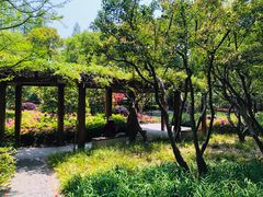 -徐家汇源景区-衡山公园