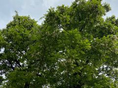 -汉长安城未央宫国家考古遗址公园