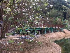 -桃园美食(水库路店)