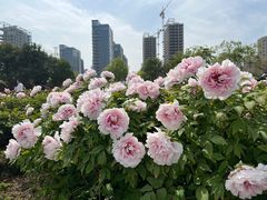 -陕西省西安植物园