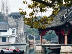 -鲁镇