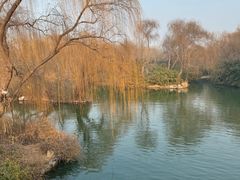 -济南大明湖景区