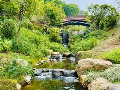 -云溪植物园