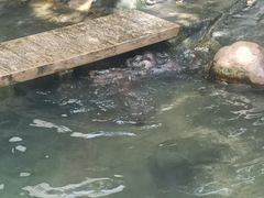 -香港海洋公园