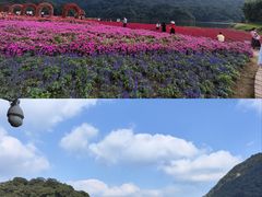 -广州市石门国家森林公园