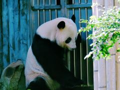 -广州动物园