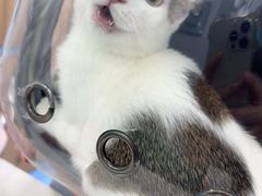 -博特宠物医院24h犬猫全科.骨科·异宠