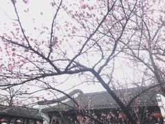 -丝绸小镇荻港古村