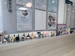-凯特喵百思猫专科医院