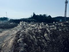 -鹿亭中村