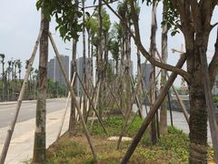 -枫香湖儿童公园