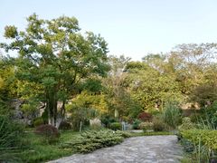-上海吴淞炮台湾国家湿地公园