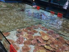 -渔傅·蓝海岸霞浦海鲜(正祥店)