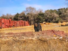 -沈阳森林动物园