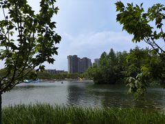 -新江湾城公园