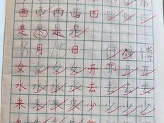 -赵汝飞练字硬笔书法(静安大融城校区)