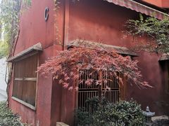 -嘉善老市