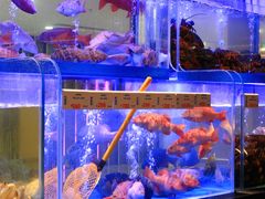 -南海渔村(珠江新城店)
