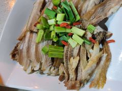 -墨脱石锅椰子鸡•香草鸭•东山羊(大东海店)