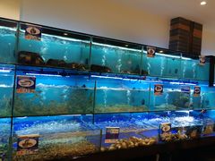 水产区-南海渔家•海鲜•正宗海南菜(海棠湾店)