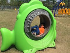 -上海长兴岛郊野公园