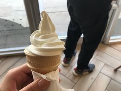 -麦当劳(塔园路店)