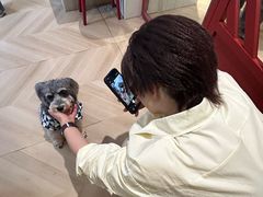 -观音桥步行街