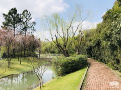 -上海佘山世茂艾美酒店