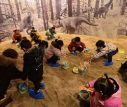 -恐龙探索乐园(磁器口店)