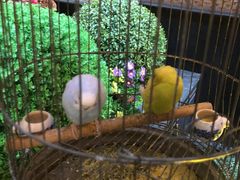 -九号温泉生活馆