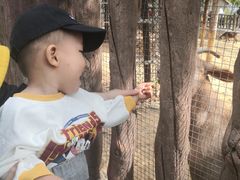 -石家庄市动物园