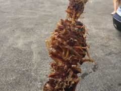 -龙头岩(Dragon Head Rock)