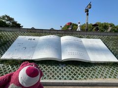 -观潮胜地公园