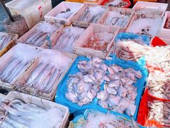 -芦潮港集贸市场