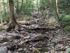 -白云源风景区