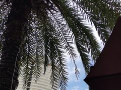 -必胜客(新海上世界店)