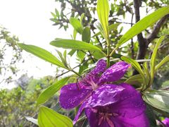 -云溪植物园