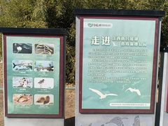 -瑶湖郊野森林公园