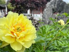 -吾介小籠館