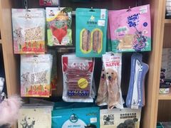 -瑞派宠物医院·中兽医专科(中央商城分院)