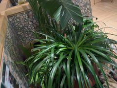 -相遇·川湘融合菜(丹阳吾悦广场店)