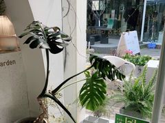 -春树下·树屋花房西餐厅(罍街AS1980店)