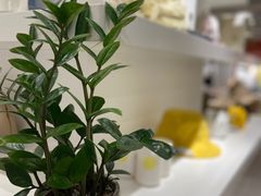 -OCE(熙地港购物中心店)