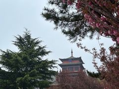 -石岛赤山风景区