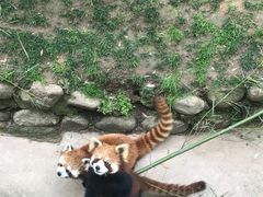 -西安秦岭野生动物园