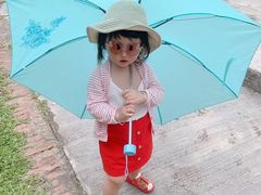 -西双版纳原始森林公园