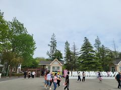 -日照海滨国家森林公园