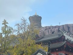 -上海东林寺(金山区)