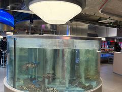 -海底捞大排档火锅(打浦路店)