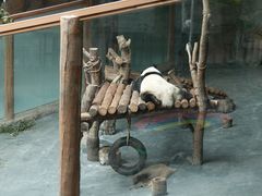 -青藏高原野生动物园